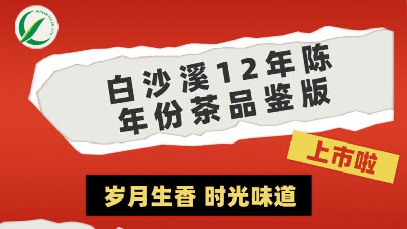 歲月生香 時光味道丨集團白沙溪12年陳年份茶品鑒版上市