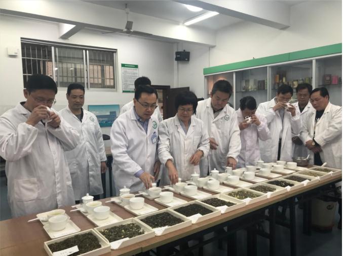 瀟湘茶業(yè)開展花茶審評和座談會，劉仲華院士等專家共謀花茶產(chǎn)業(yè)發(fā)展