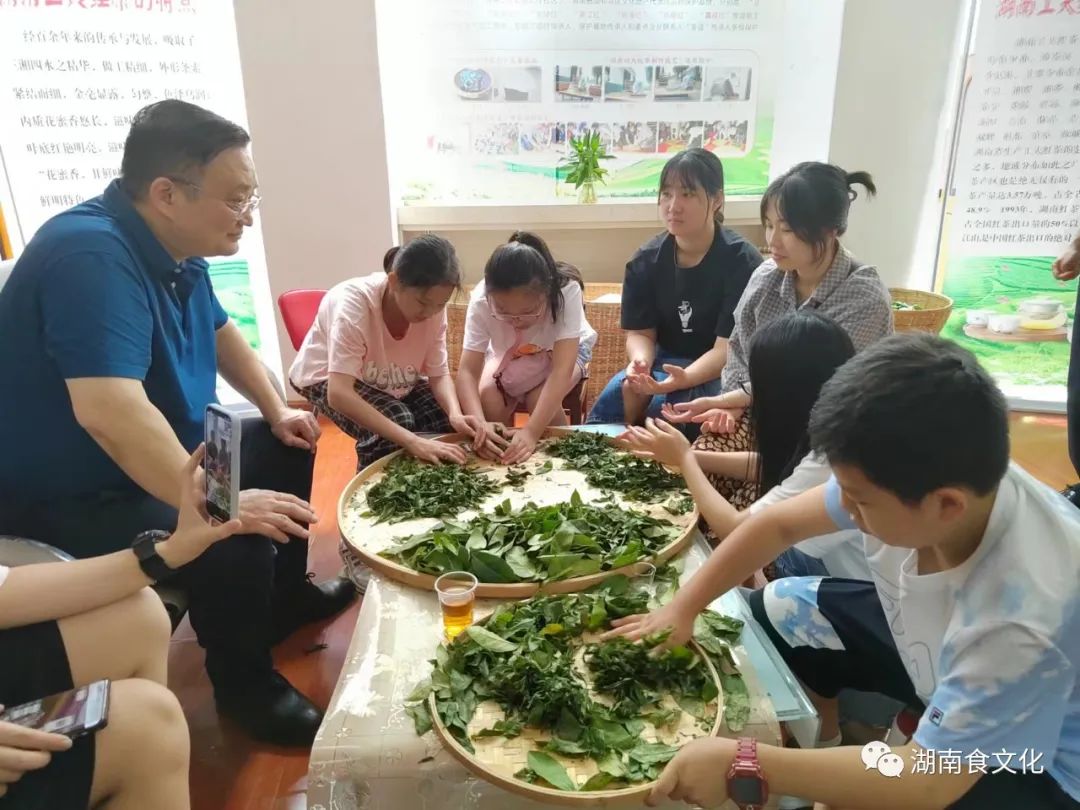 原載人民日?qǐng)?bào)“人民視點(diǎn)”茶葉是怎樣做出來(lái)的？湖南大、中、小學(xué)生體驗(yàn)湖南工夫紅茶制作